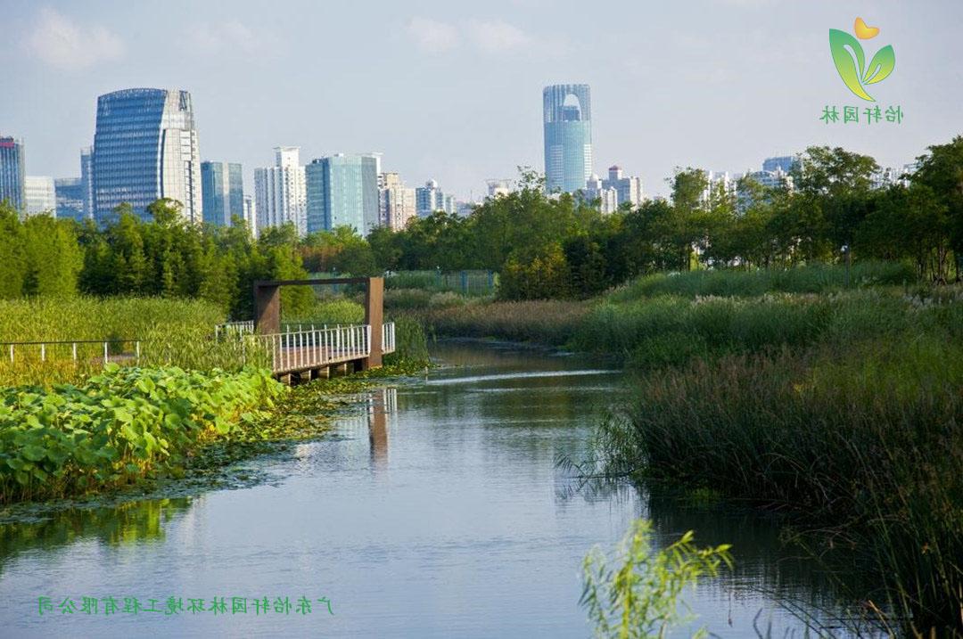 上海世博后滩公园景观设计改造案例效果图